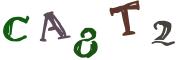 Vaizdinė CAPTCHA užduotis