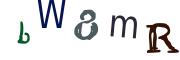 Vaizdinė CAPTCHA užduotis