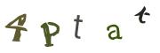 Vaizdinė CAPTCHA užduotis