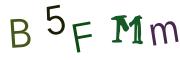 Vaizdinė CAPTCHA užduotis